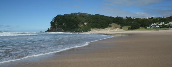 Links